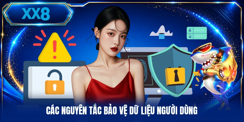 Các nguyên tắc bảo vệ dữ liệu người dùng