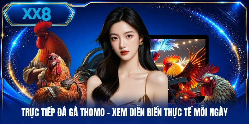 Trực Tiếp Đá Gà Thomo - Xem Diễn Biến Thực Tế Mỗi Ngày Trực Tiếp Đá Gà Thomo - Xem Diễn Biến Thực Tế Mỗi Ngày